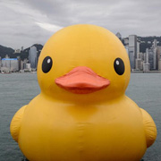 inflatable cartoon duck